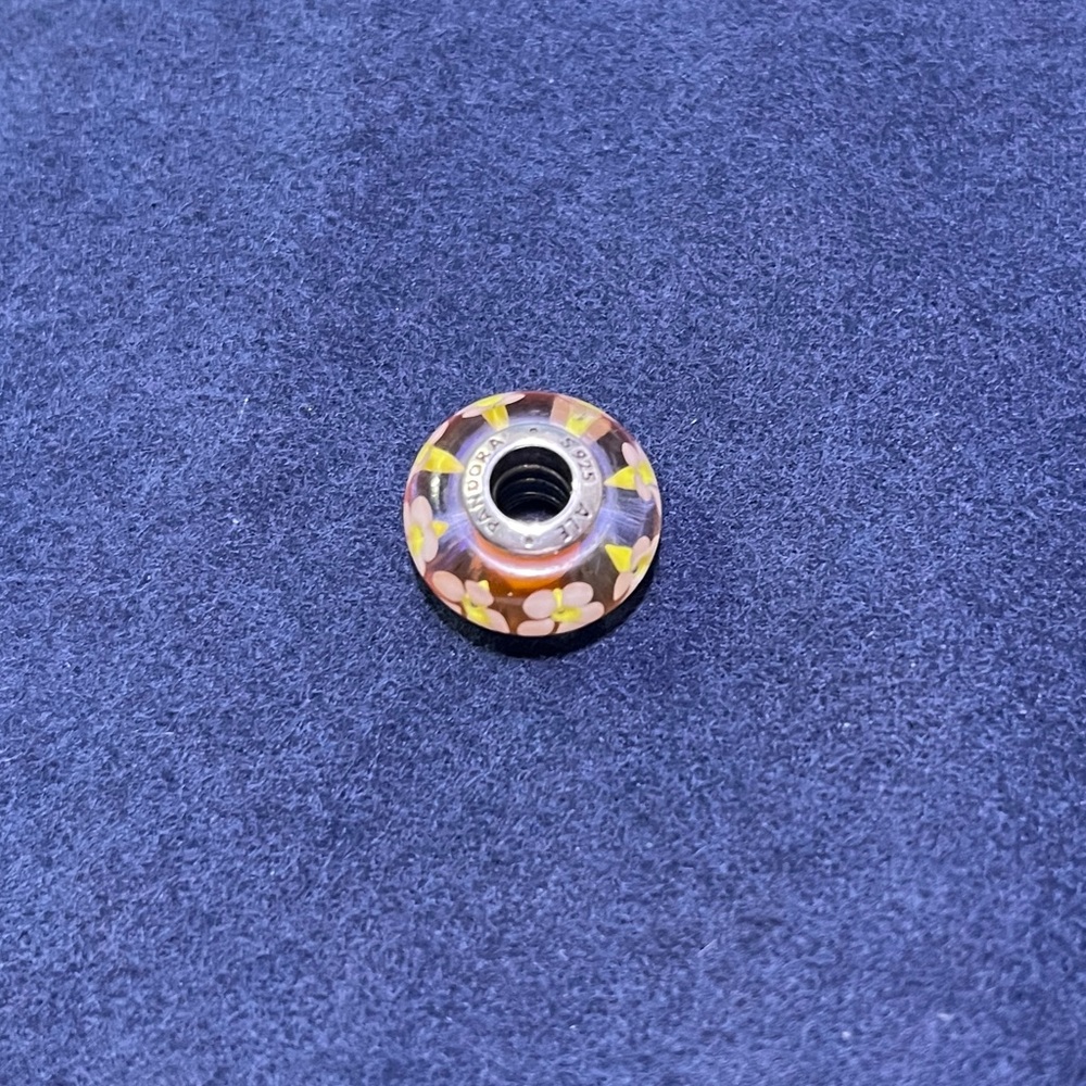 Pandora Moments Charms (Retired) - Picture 6 of 6